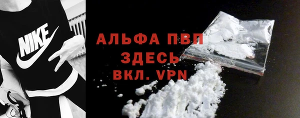 стаф Арсеньев