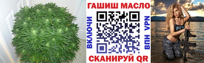 Купить закладки  Североуральск  ТГК концентрат 